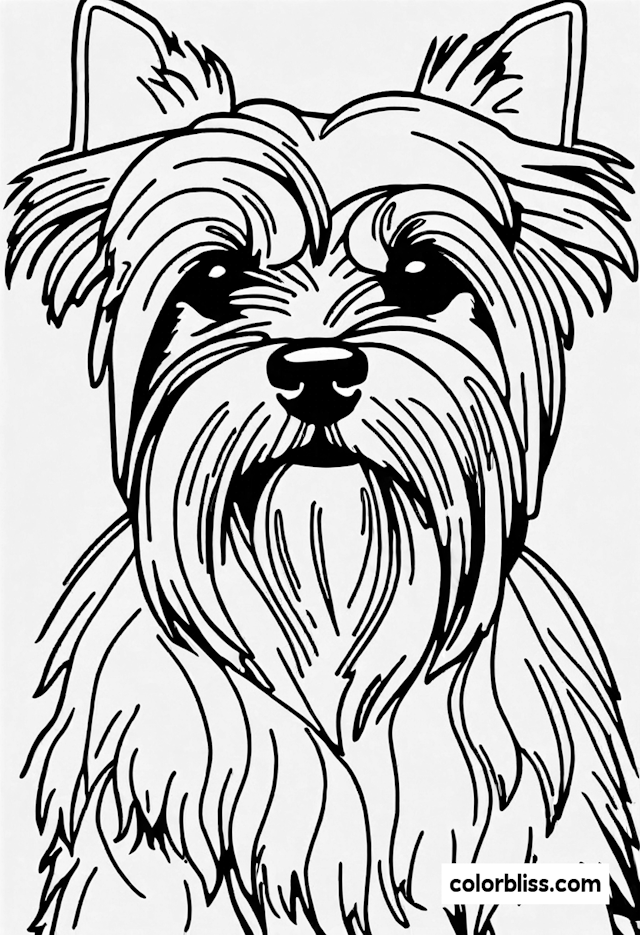 Yorkshire Terrier Coloring Fun