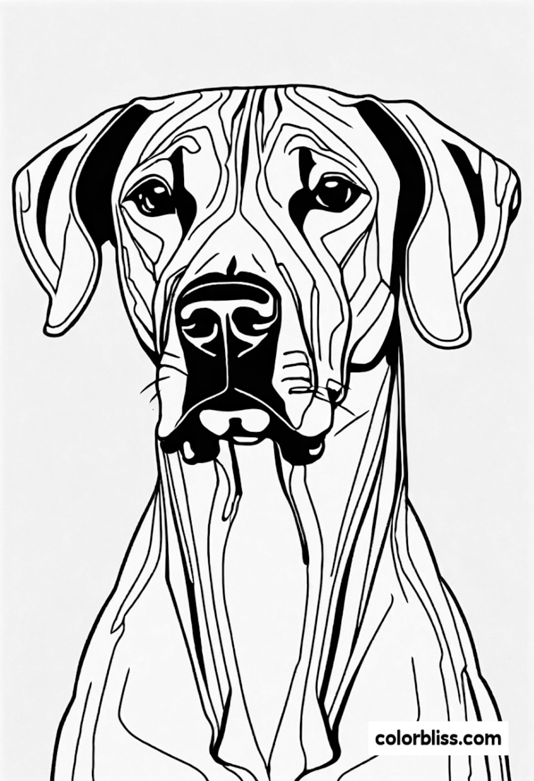 Rhodesian Ridgeback coloring pages