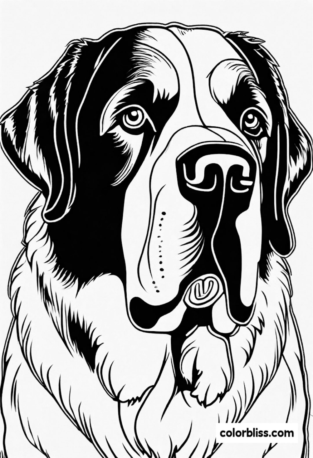 Saint Bernard Coloring Page coloring pages