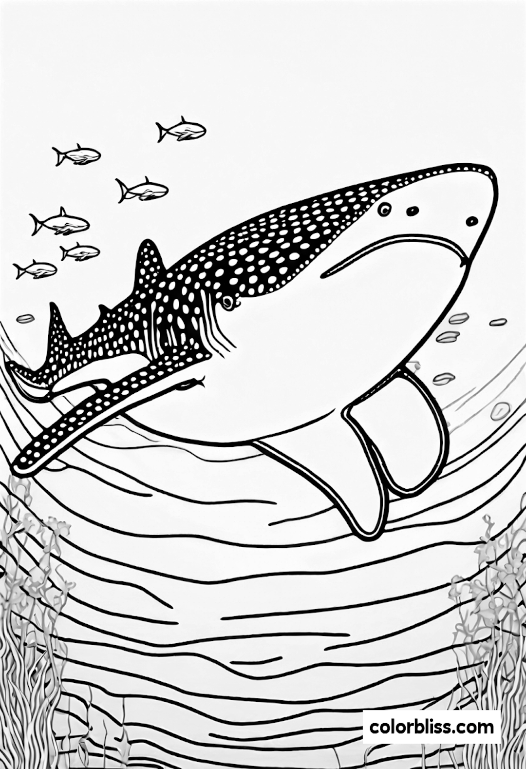 shark coloring pages